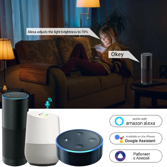 Tuya Smart WiFi Glühbirne Alexa Lampe Alice Sprachsteuerung